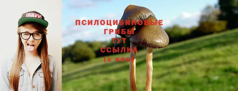 Псилоцибиновые грибы MAGIC MUSHROOMS Бикин